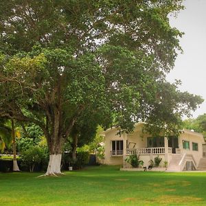 Villa Deluxe
